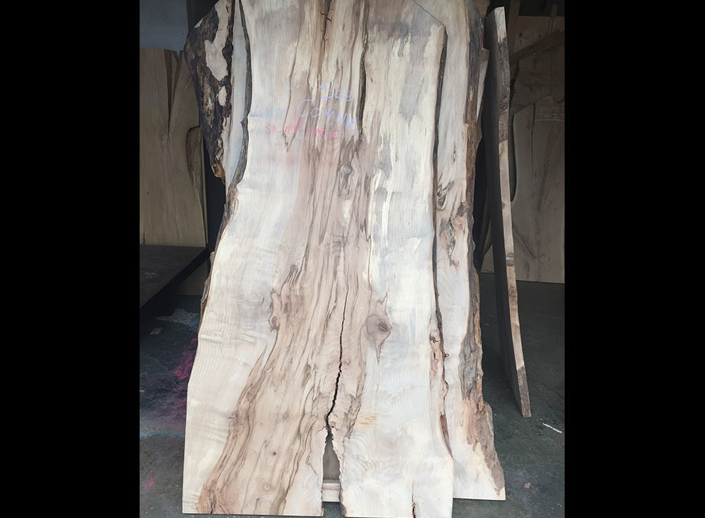 slab13